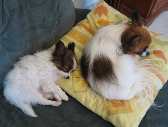 Ein Stck von Mamas Lieblingsplatz.