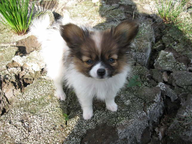 N, ich bin nicht so schmutzig.