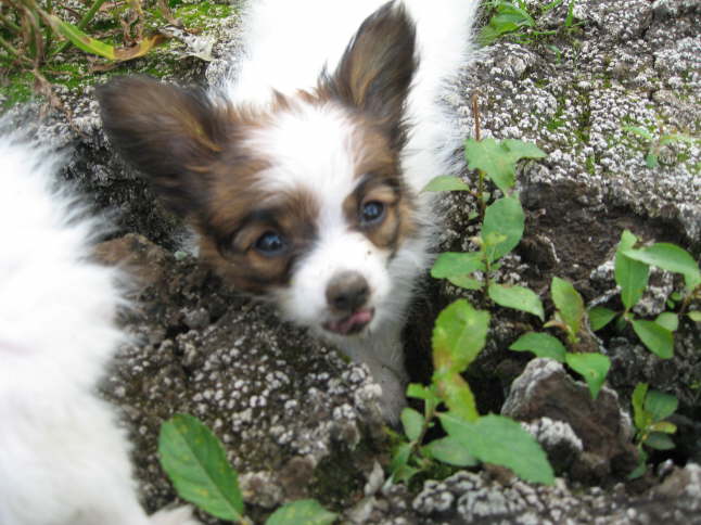 Wieso, wie meine Mama?