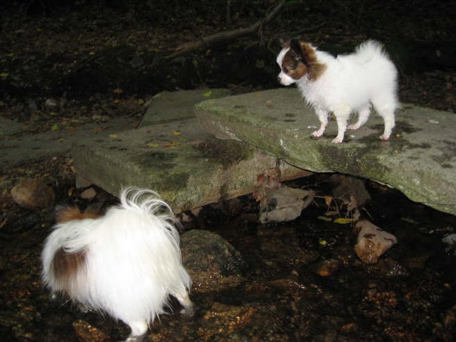 Wie soll ich dan nur wieder hinkommen?