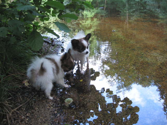 Guck mal, wo die Mama wieder ist.