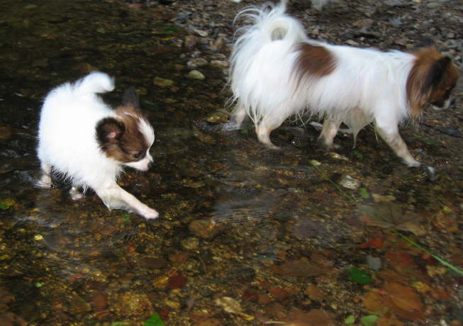 Zum Glck bin ich nicht wasserscheu!