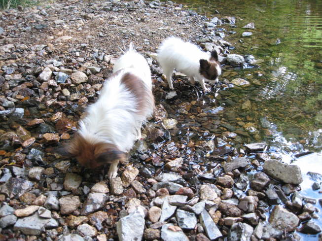 Ich prfe alles, was Mama prft.