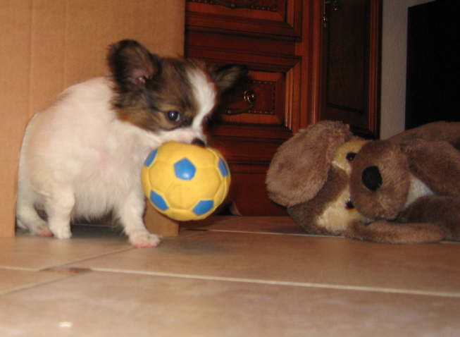 Die Kiste ist ein prima Versteck.