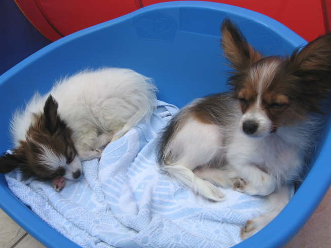 Gut, dass Elisa auch da ist.