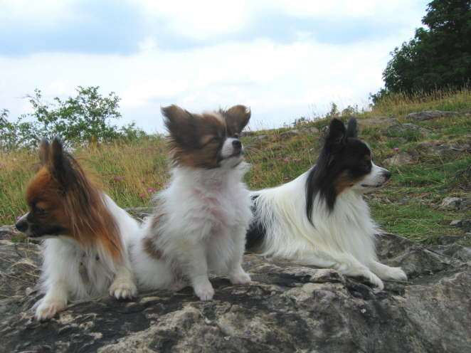 Ich werde gut beschtzt