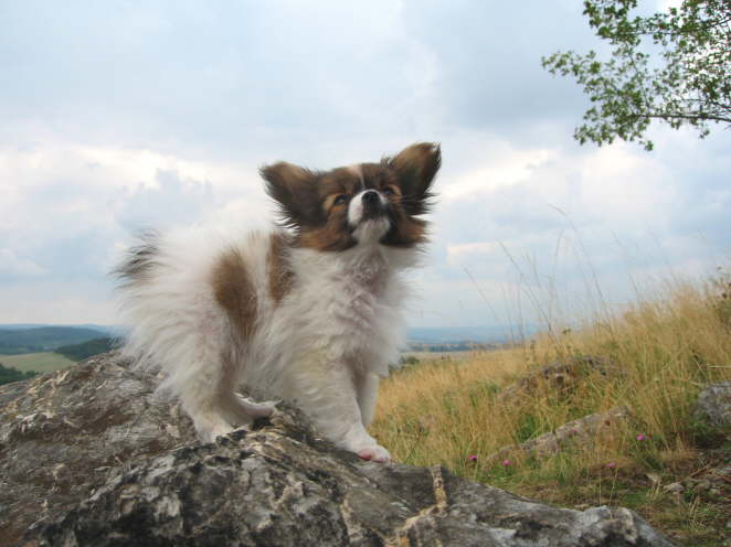 Da will ich auch noch hoch.