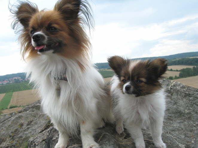 Ja, so hbsch werde ich auch mal.