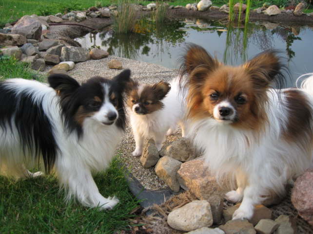 Was macht denn Neo fr eine Schnute?