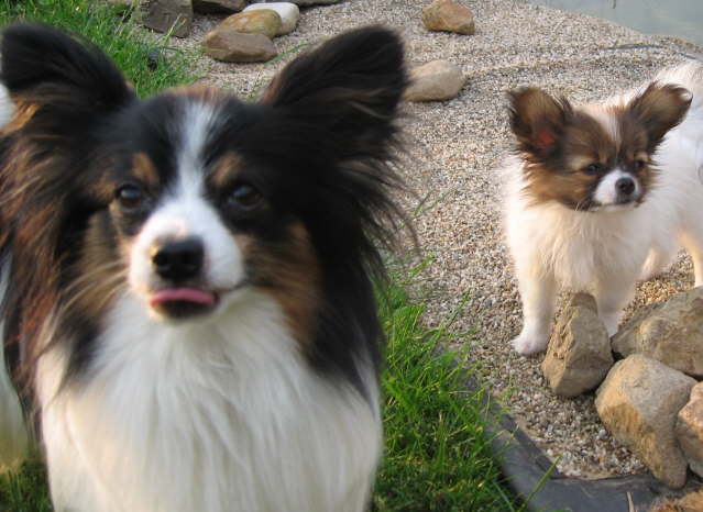 Das kann ich doch schon.