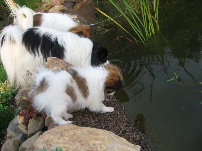 Das Wasser ist ja so lecker.