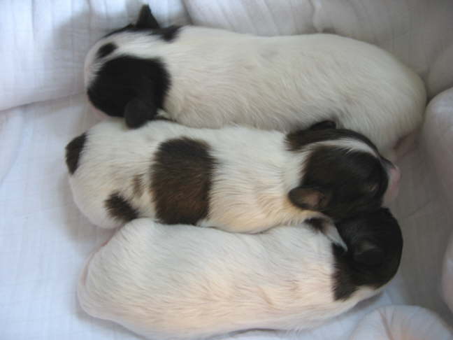 Der 9. Tag alle machen Pause