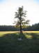 Herbstsonne