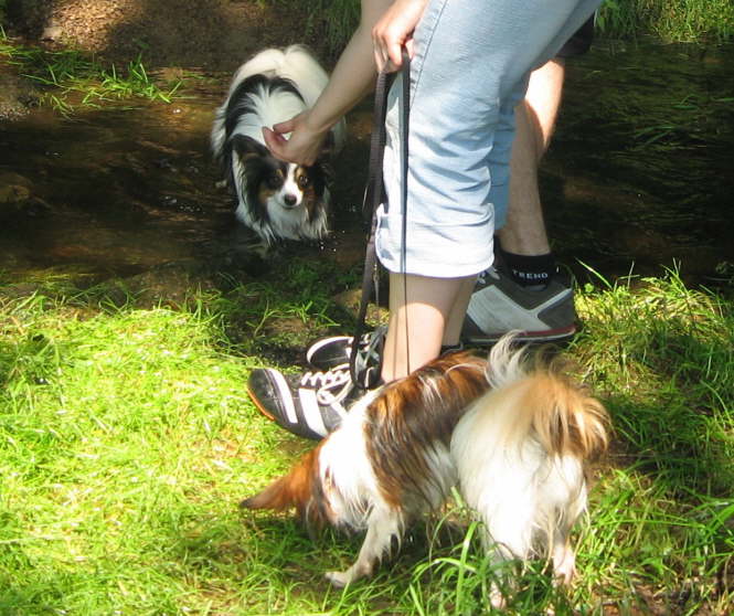 Elisa sogar durchs Wasser