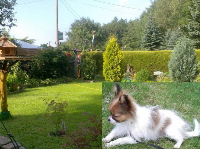  Hier kann ich mich richtig austoben.