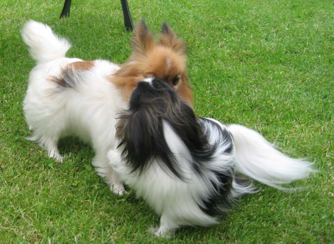 Tilli und Colin