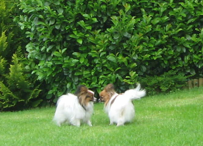 Alex und Tilli
