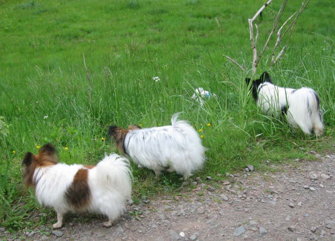 Wo wollen die denn hin?