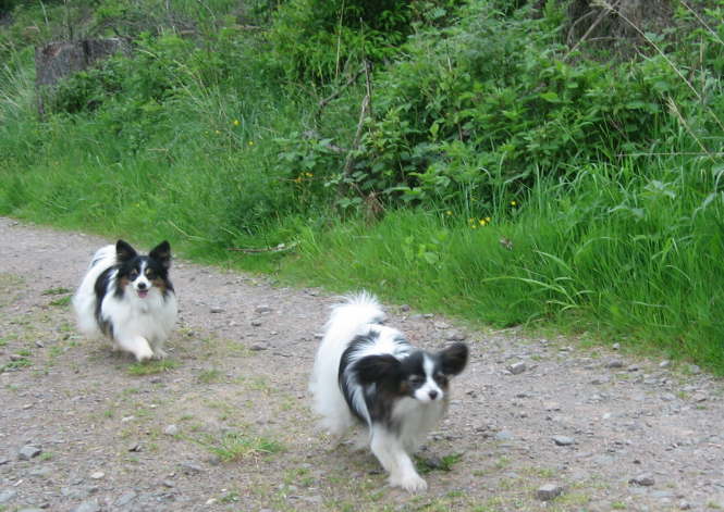 Neo und Colin