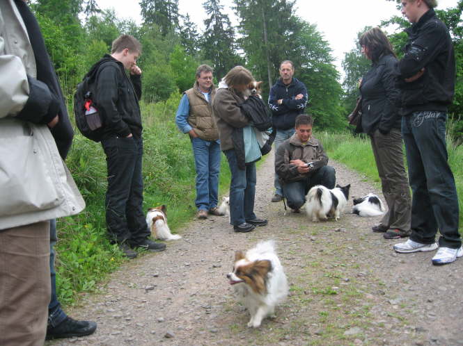 Worauf wird denn gewartet?