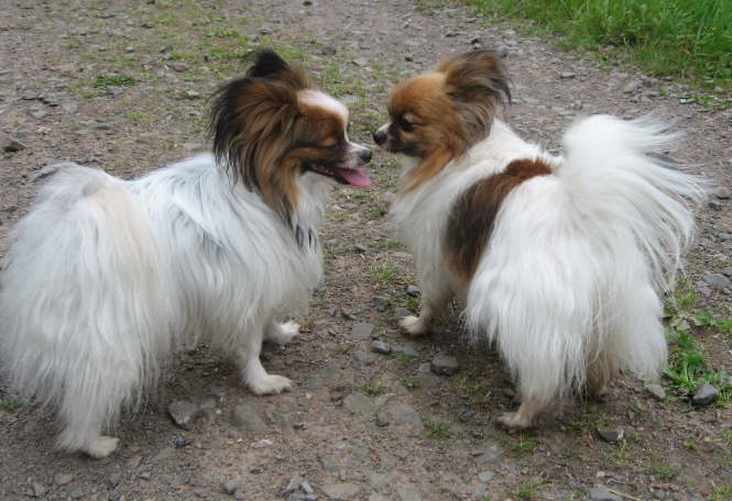 Alex und Tilli