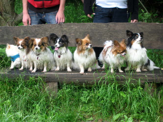 Gruppenfoto