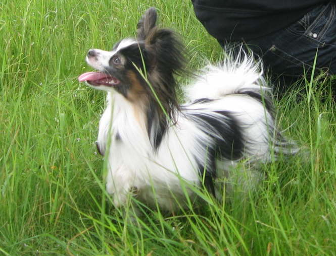 Da ist Colin immer zur Stelle