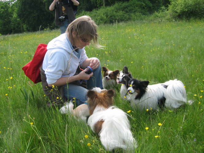 Hier gibts ja auch noch was.