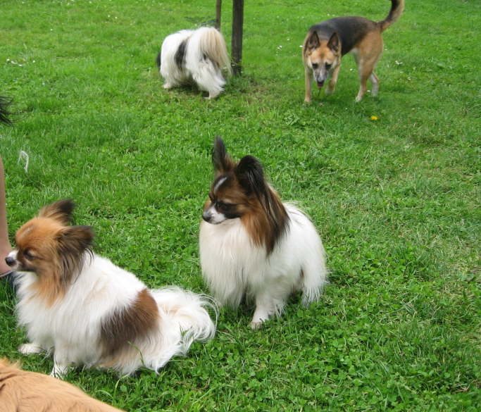 ganz viel zu tun und keine Zeit f�r Fotos