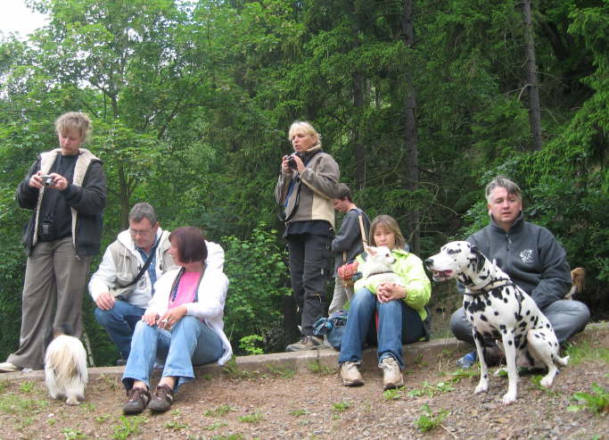 auch ein Dalmi war dabei