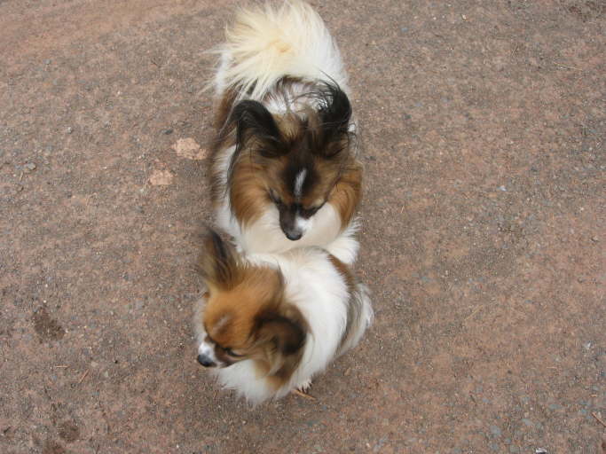 Kr�mel - der ihr nicht mehr