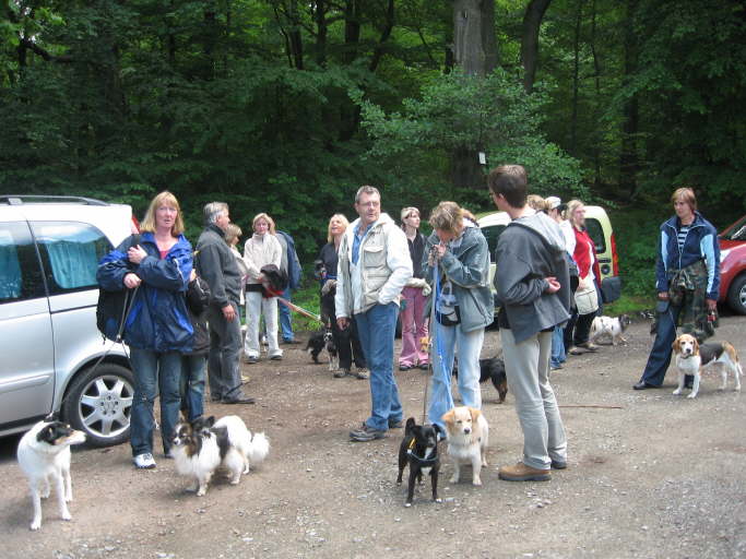 mit 10 Autos unterwegs