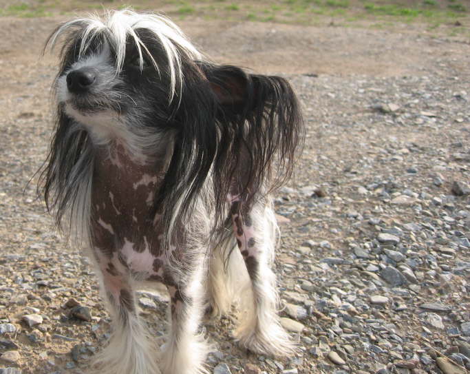 ich mach da nicht mit