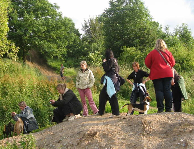 und die Frauchen werfen St�ckchen