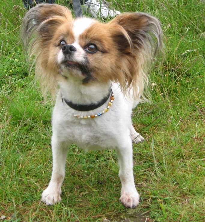 Charly wundert sich, wo Sonja bleibt