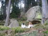 Steinerne Renne