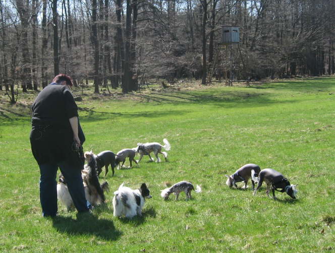 was gibt�s denn da?