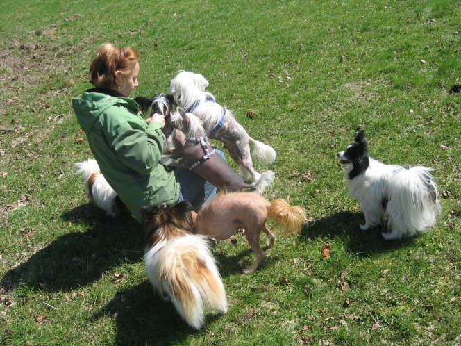 hier ist auch noch etwas zu holen