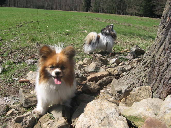 puh, ist das anstrengend