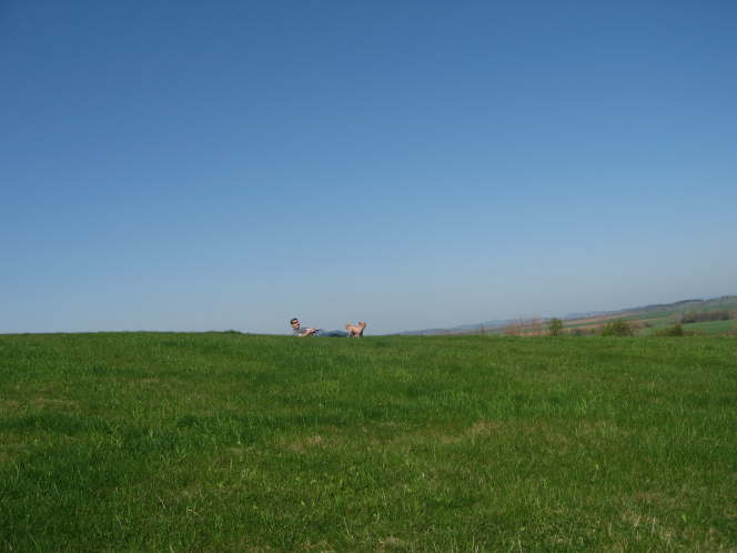 Robert und F�xchen