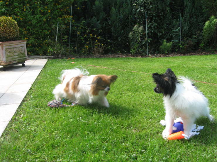 Adi und Freundin Bella