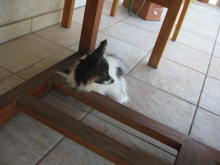 so lag Adi frher auch gern