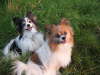 Neo und Tilli 2012