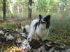 Neo und Tilli 2012
