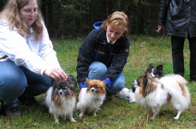 Pelle, Tilli, Kr�mel, Neo