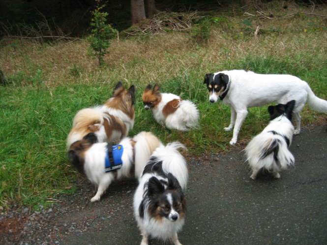 Eine gro�e "Angelegenheit".