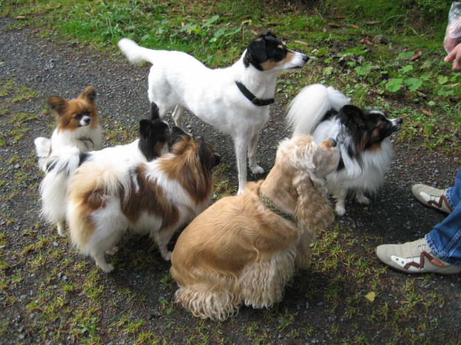 Da stellen sich alle an.