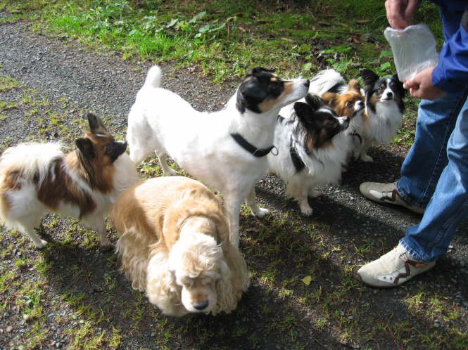 Wann komme ich denn dran?