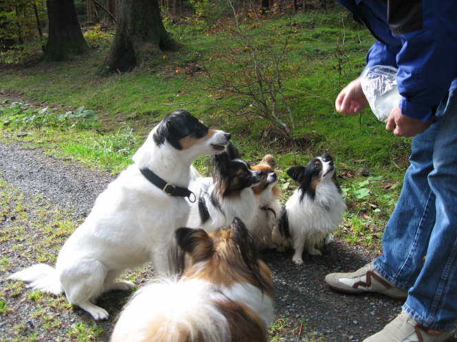 Und wir k�nnen alle so sch�n "Sitz".