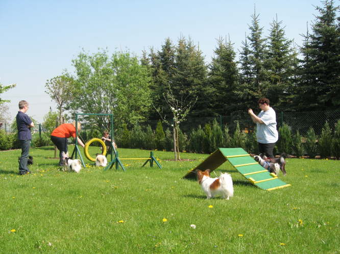 Wer macht das sch�nste Foto?